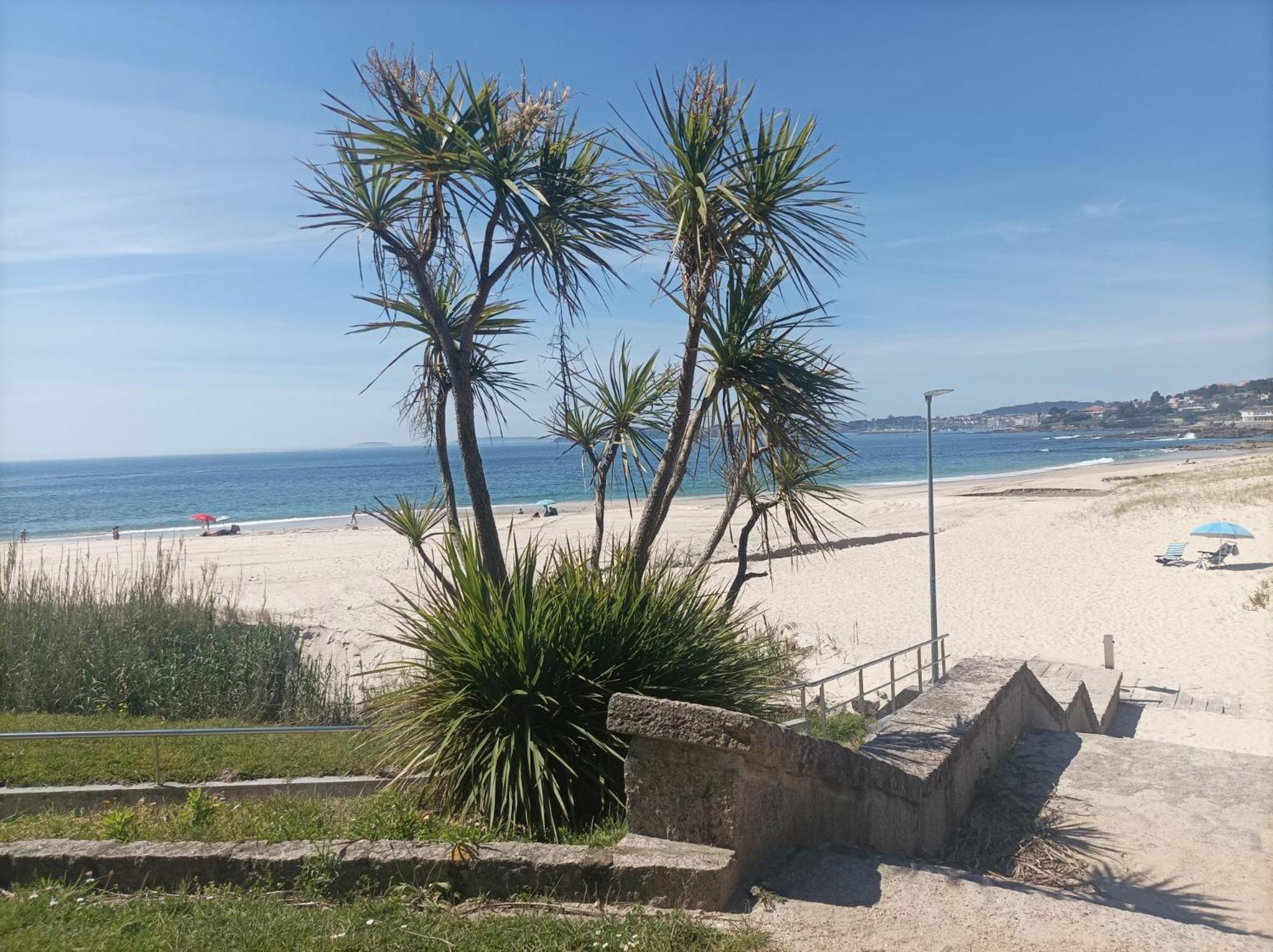 Playa Areas Appartement Buitenkant foto